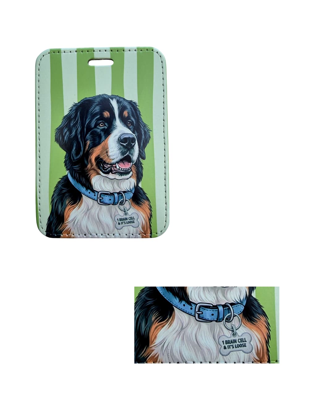 Funny Bernese Mountain Dog luggage tag close-up; Detail view of a faux leather luggage tag showing a tricolor Bernese Mountain Dog with a light blue collar and bone-shaped 1 Brain Cell and It's Loose charm, vertical green and white stripes.