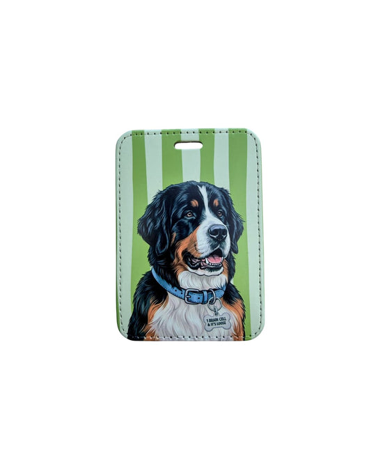 Funny Bernese Mountain Dog luggage tag; Fun faux leather luggage tag featuring a tricolor Bernese Mountain Dog with a light blue collar and 1 Brain Cell and It's Loose bone charm, vertical green and white stripes, white background.