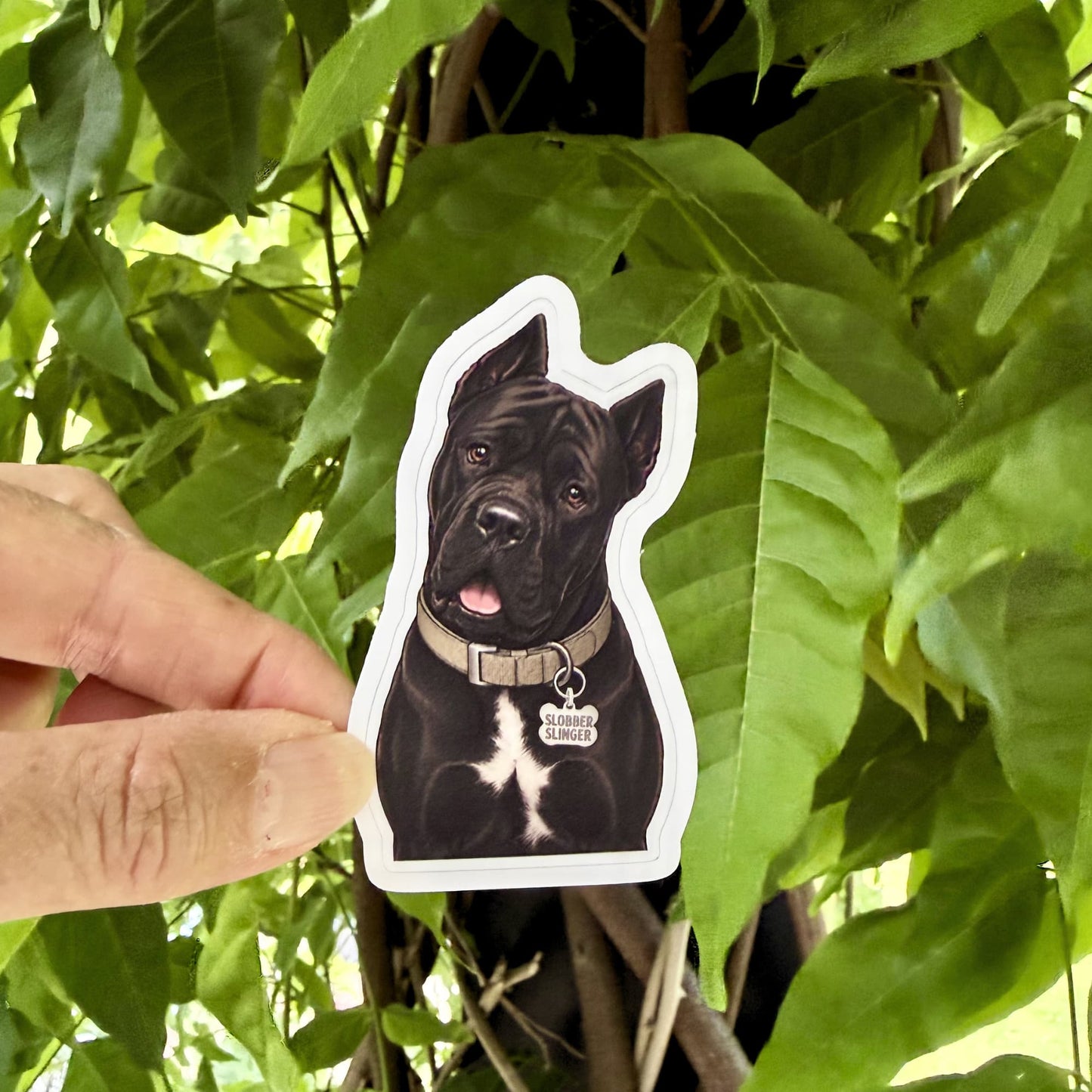 Funny Black Cane Corso Sticker for Water Bottles and Laptops