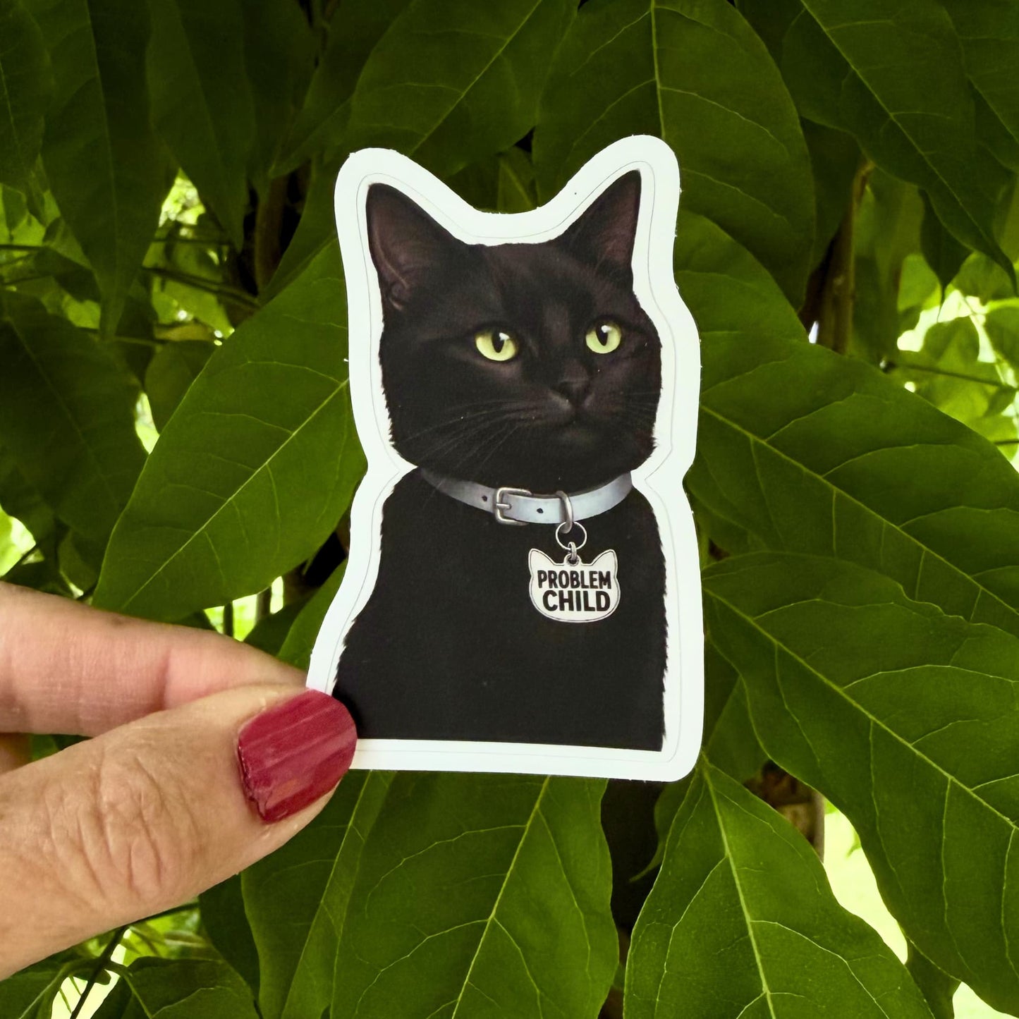 Funny black cat water bottle sticker held against green foliage, sleek black cat with green eyes and Problem Child charm, white contour border.