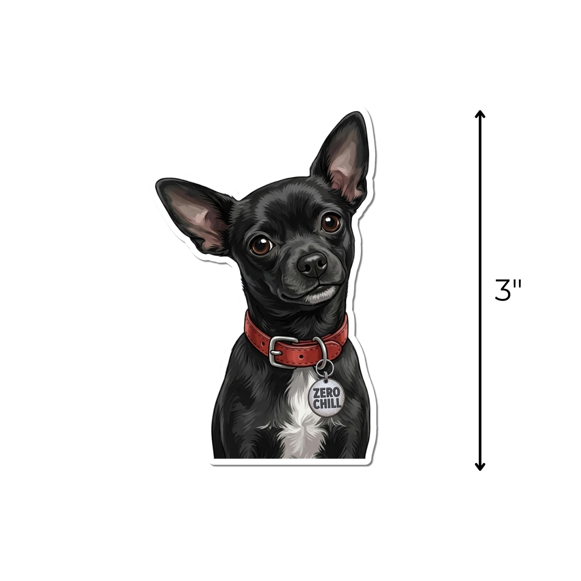 Funny black Chihuahua sticker featuring a black dog with large upright ears, a white chest, red collar, and round tag reading Zero Chill.