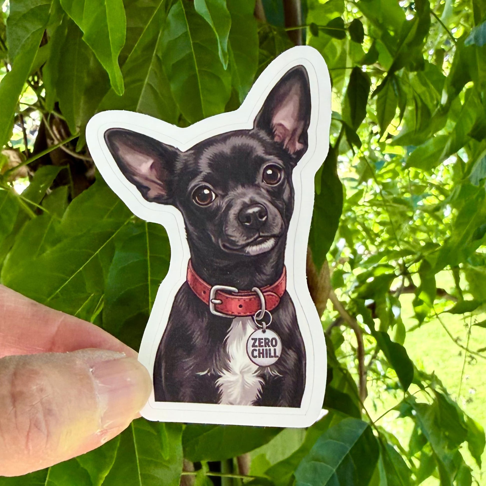 Funny black Chihuahua sticker held in one hand against leafy green trees, showing the illustrated black Chihuahua portrait and white kiss-cut border.
