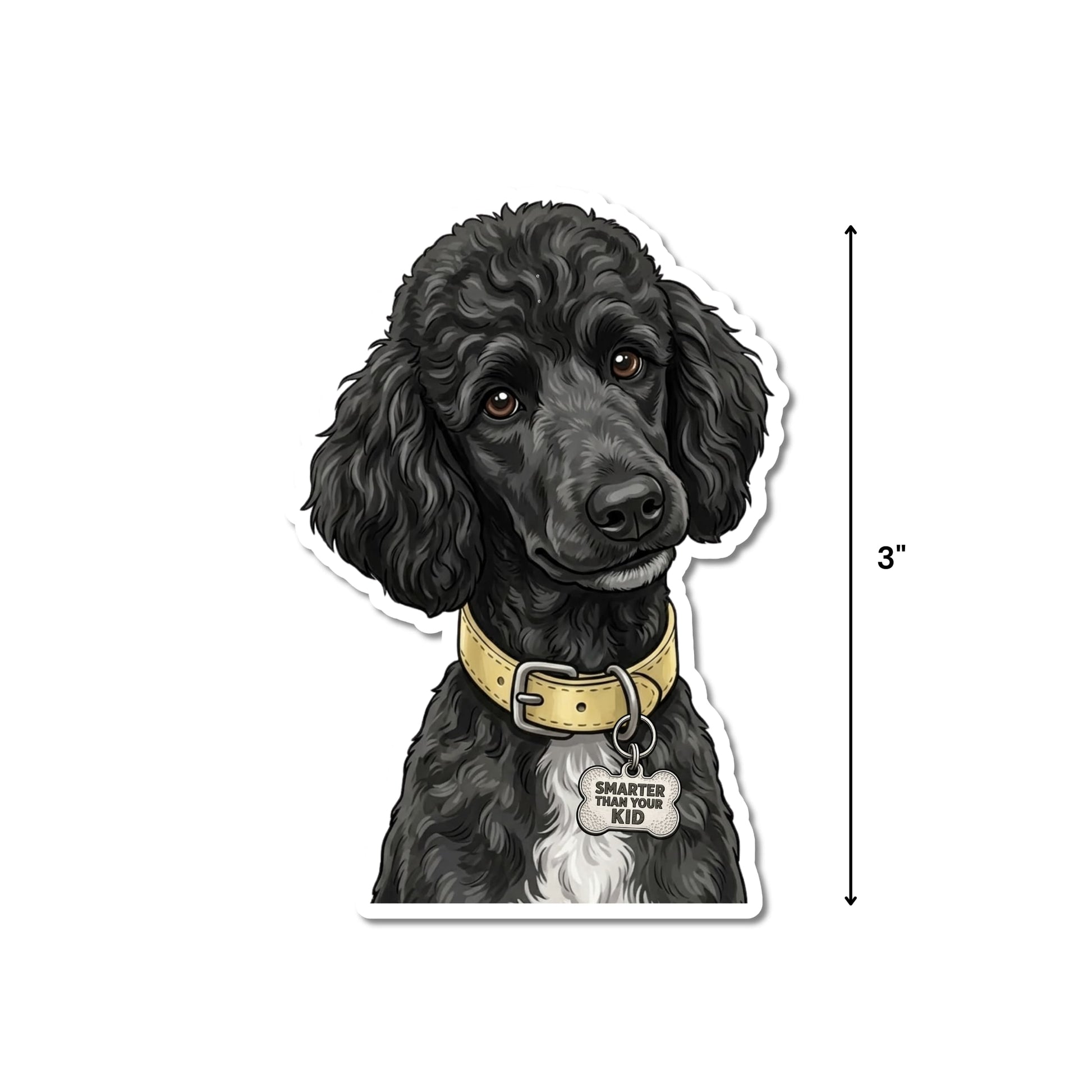 Funny black poodle sticker with 3-inch height measurement shown.