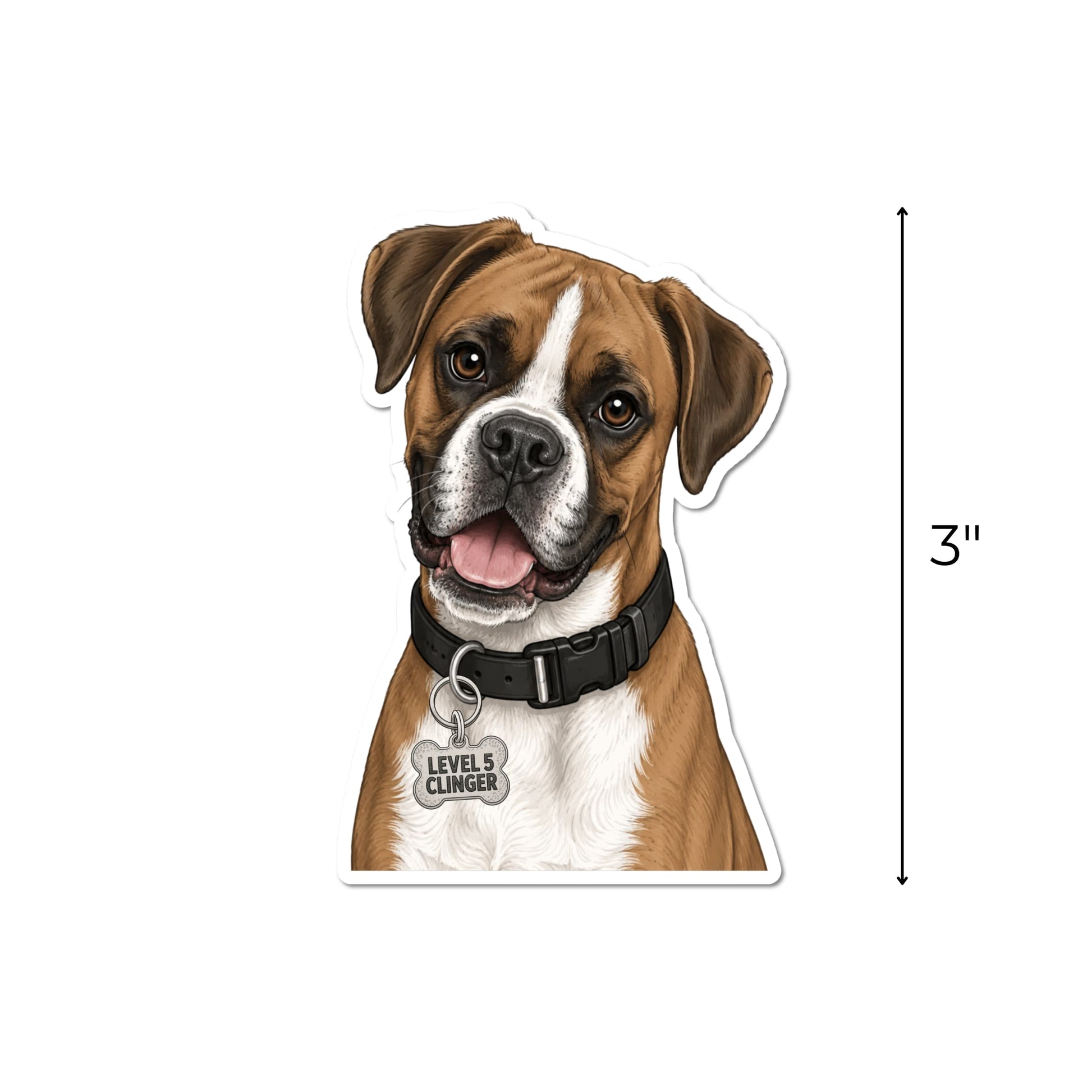 Funny Boxer dog sticker with a vertical arrow showing the waterproof kiss-cut decal measures 3 inches tall.