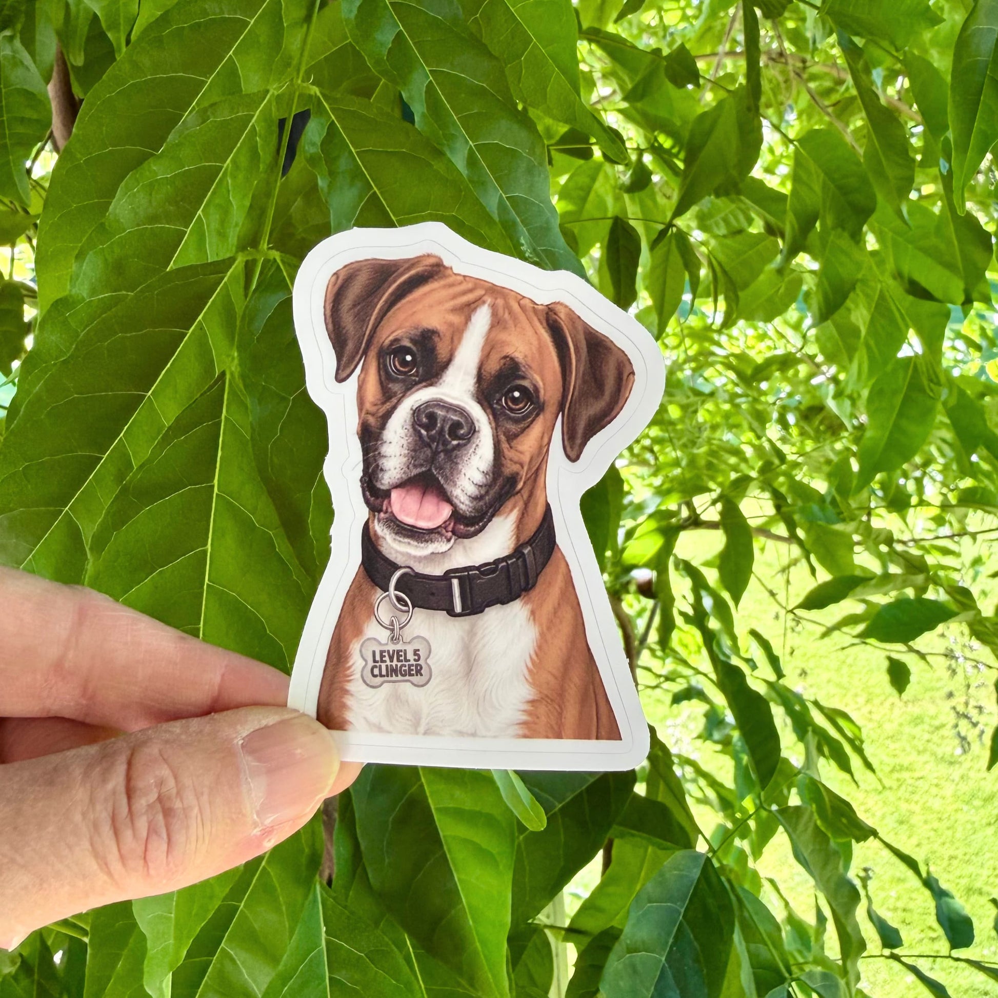 Funny Boxer dog sticker held in one hand against leafy green trees, showing the illustrated brown-and-white Boxer portrait and white kiss-cut border.
