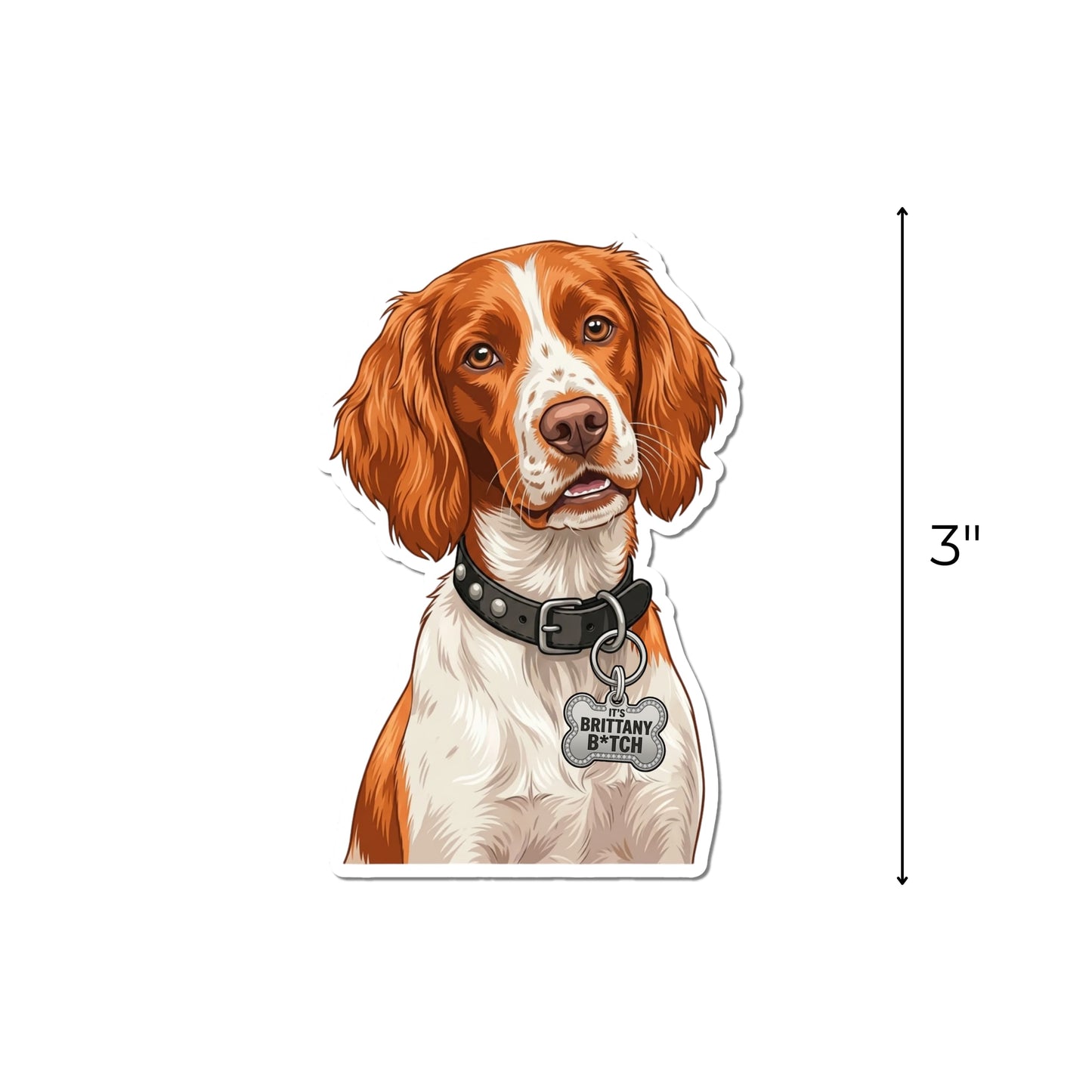 Funny Brittany Spaniel sticker with a vertical arrow showing the waterproof kiss-cut decal measures 3 inches tall
