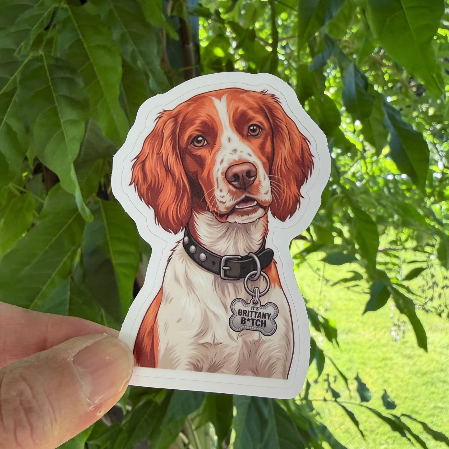Funny Brittany Spaniel sticker held in one hand against leafy green trees, showing the illustrated orange-and-white Brittany portrait and white kiss-cut border.