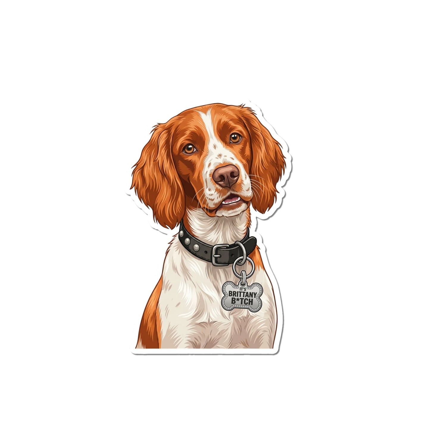 Funny Brittany Spaniel sticker showing an illustrated orange-and-white Brittany wearing a black collar and cheeky bone-shaped tag reading It's Brittany B*tch