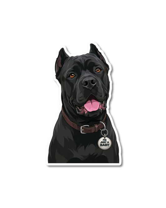 funny cane corso sticker black cane corso with happy expression wearing i’m just a baby tag matte vinyl decal
