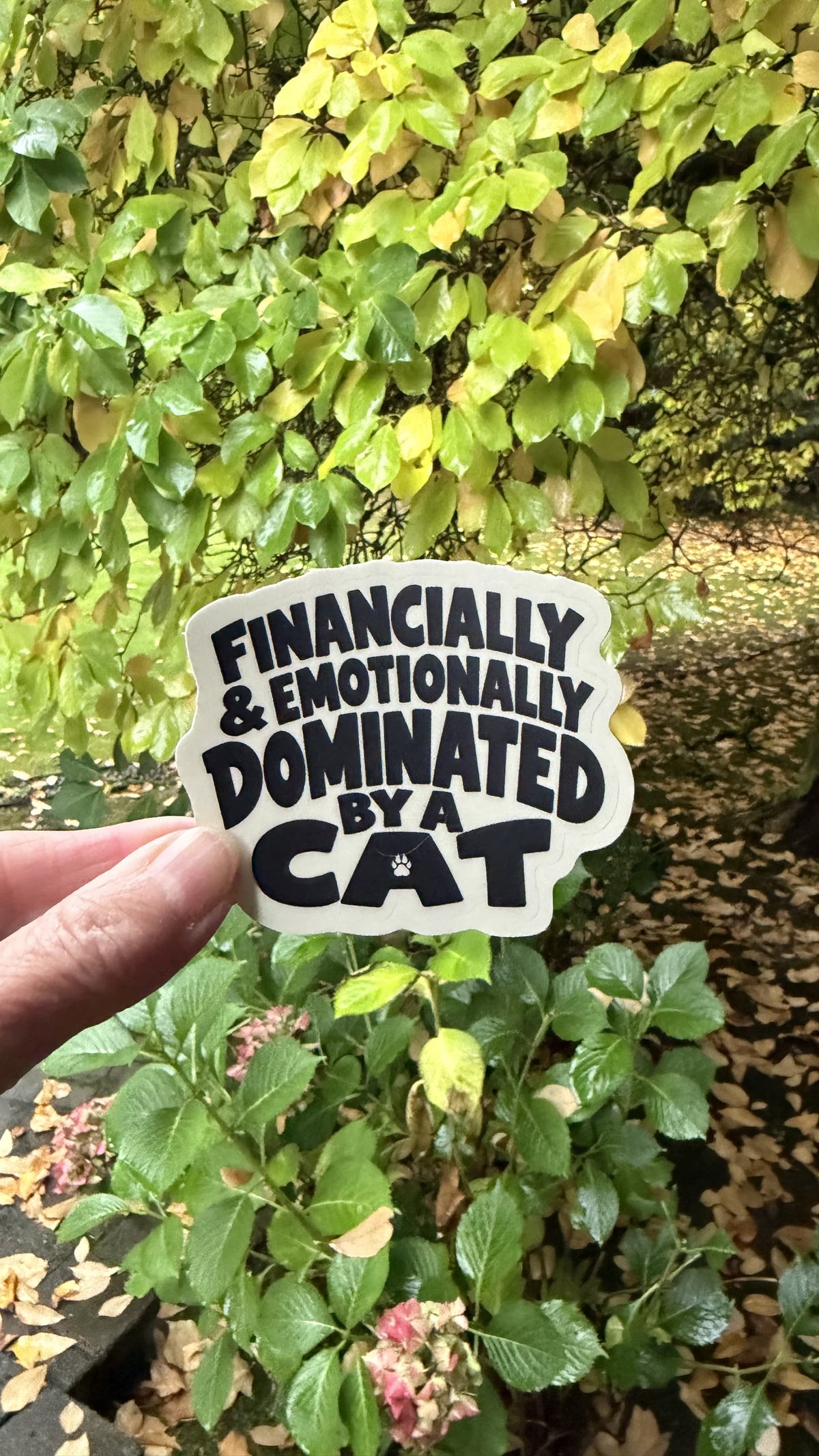 Hand holding the black and cream Financially & Emotionally Dominated by a Cat sticker in front of green leaves