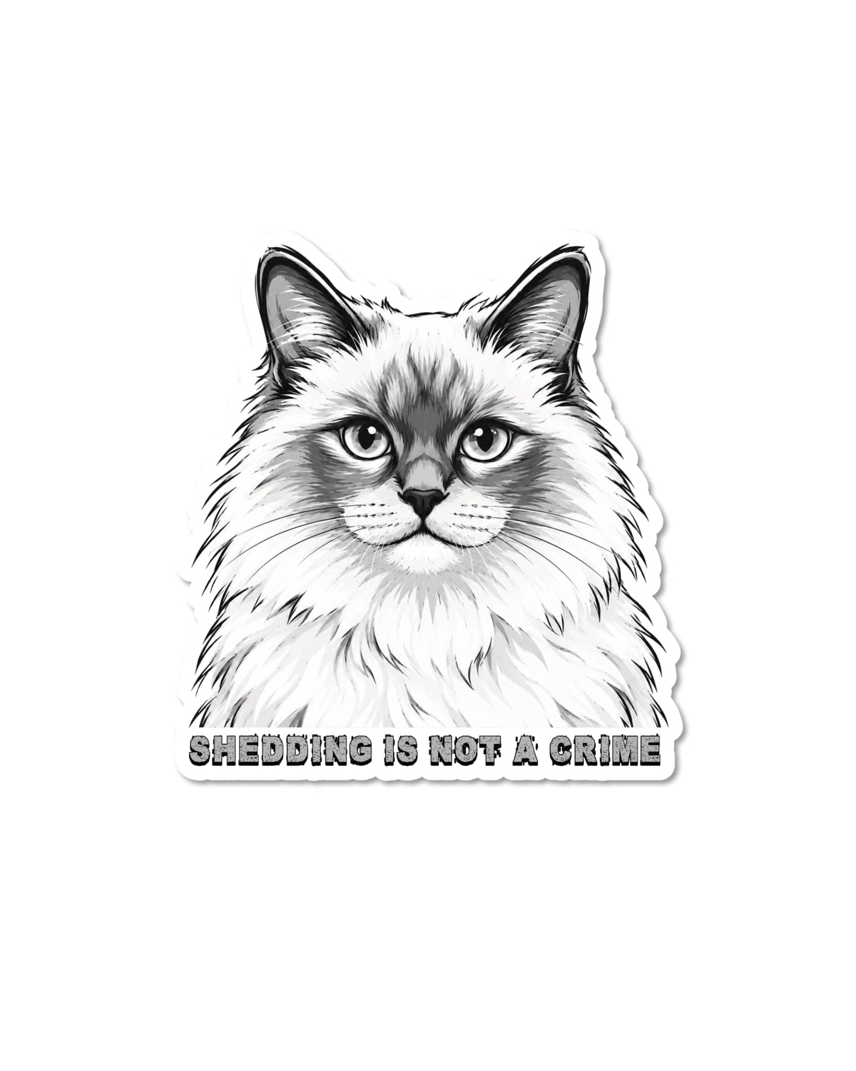 Funny cat shedding sticker: black and white long-haired fluffy cat with gray text Shedding Is Not a Crime