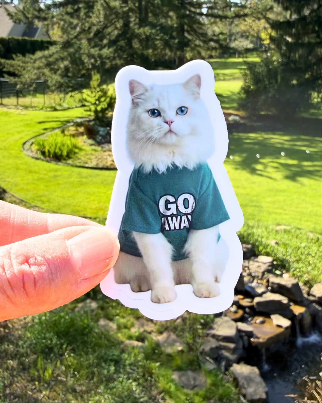 funny cat sticker go away cat attitude humor sticker held between fingers outdoors with yard background