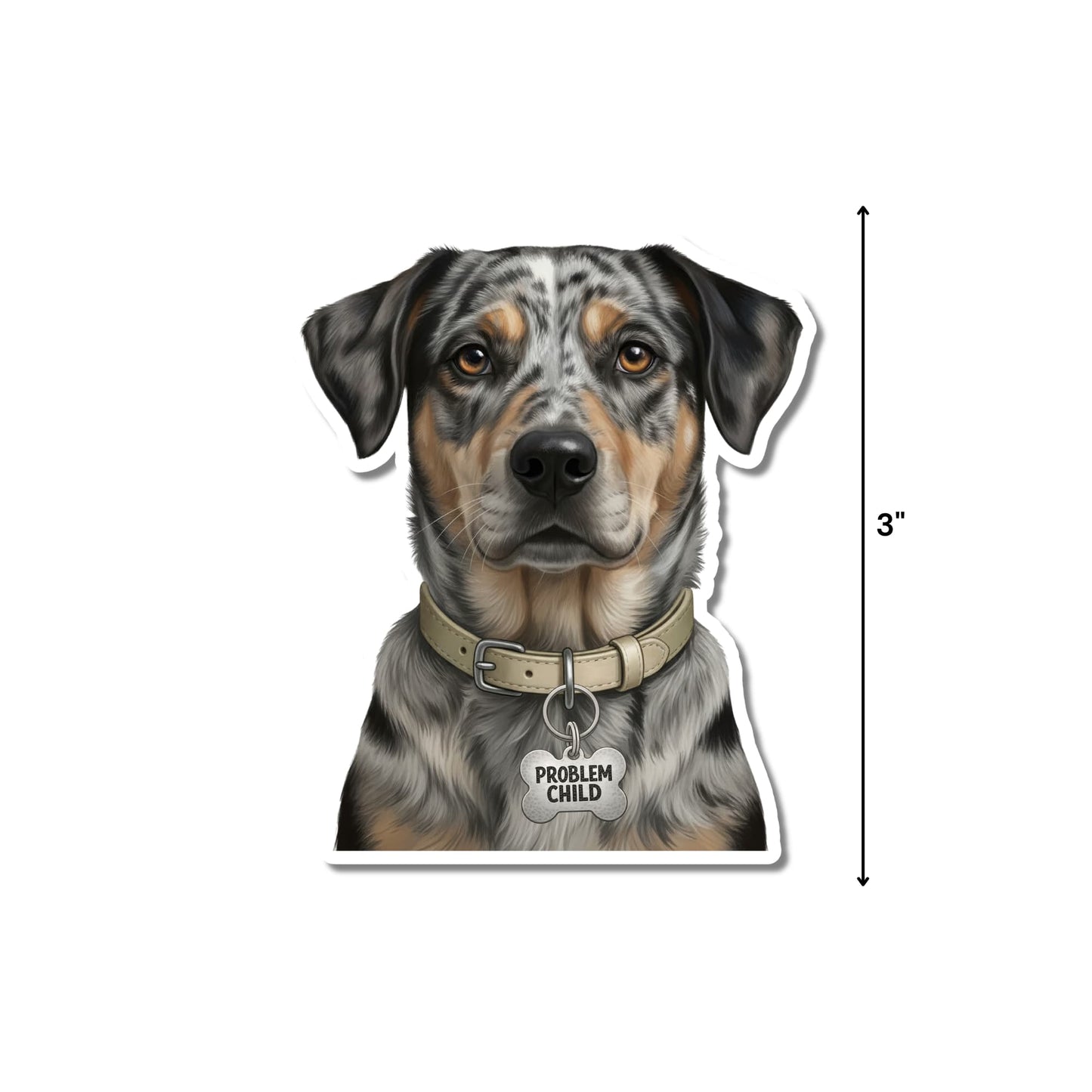 Funny Catahoula Leopard Dog Sticker