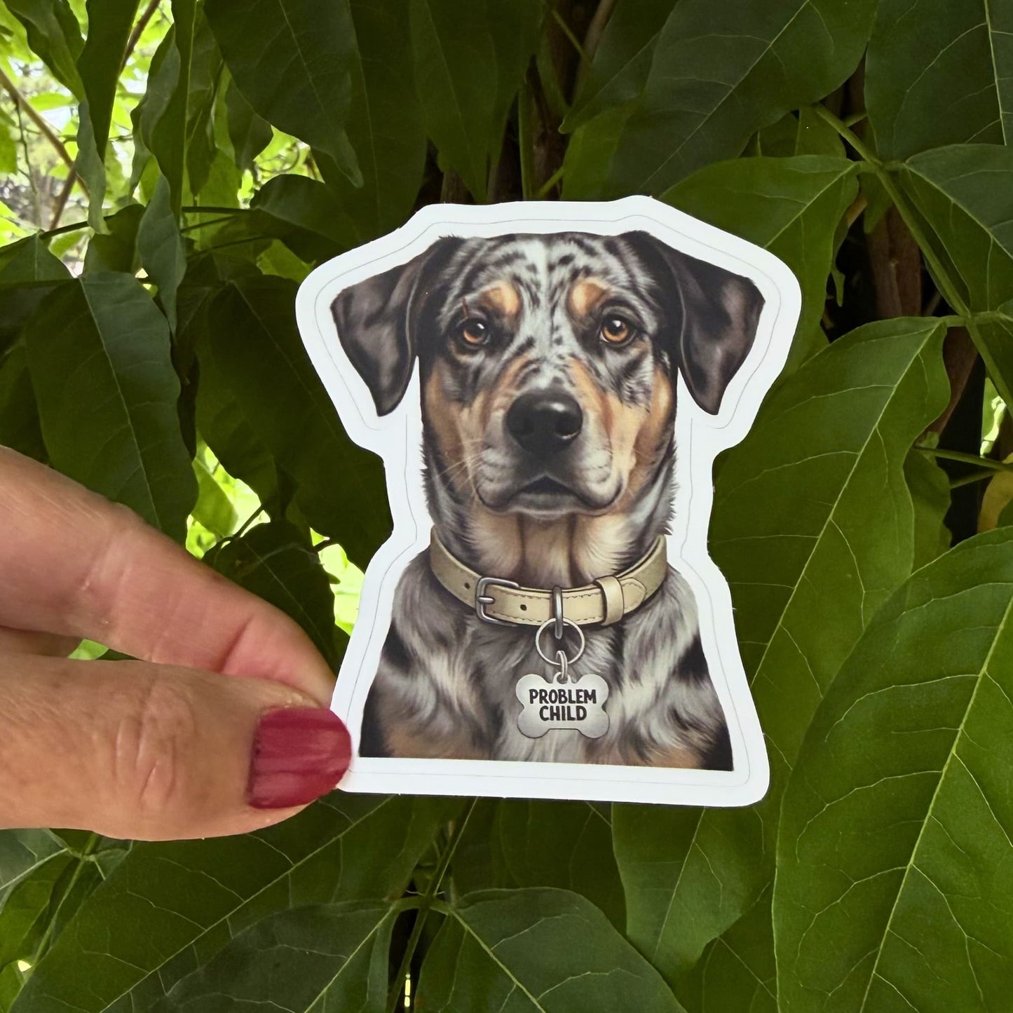 Funny Catahoula Leopard Dog Sticker