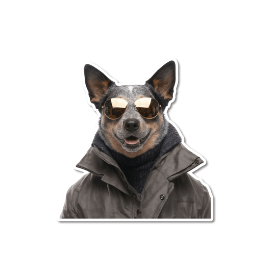 Australian Cattle Dog in a brown parka and gold aviators, funny cattle dog sticker for laptop.