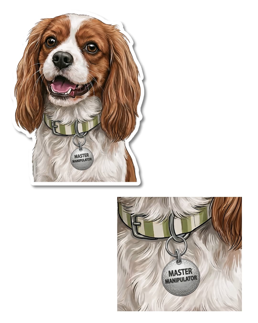 funny cavalier king charles sticker close up of master manipulator dog tag on cavalier king charles spaniel matte vinyl decal