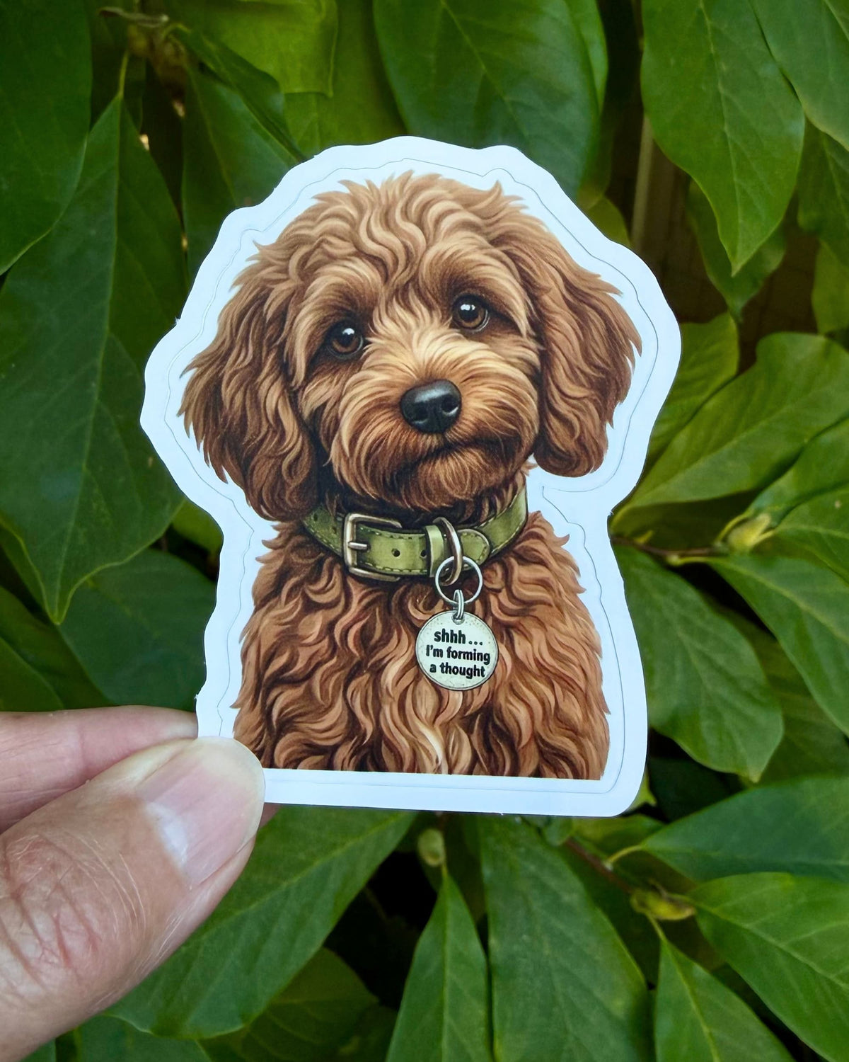 Funny Cavapoo Sticker featuring a curly reddish brown dog wearing an olive green collar and round silver charm reading “Shhh... I’m forming a thought,” held between fingers against green foliage.