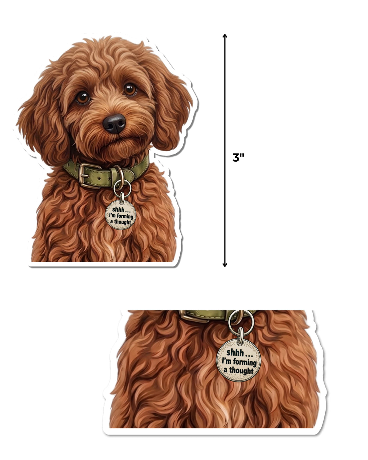 Funny Cavapoo Sticker featuring a curly reddish brown dog beside a 3-inch height guide, with a close-up below of its olive green collar and round silver charm reading “Shhh... I’m forming a thought,” on white.