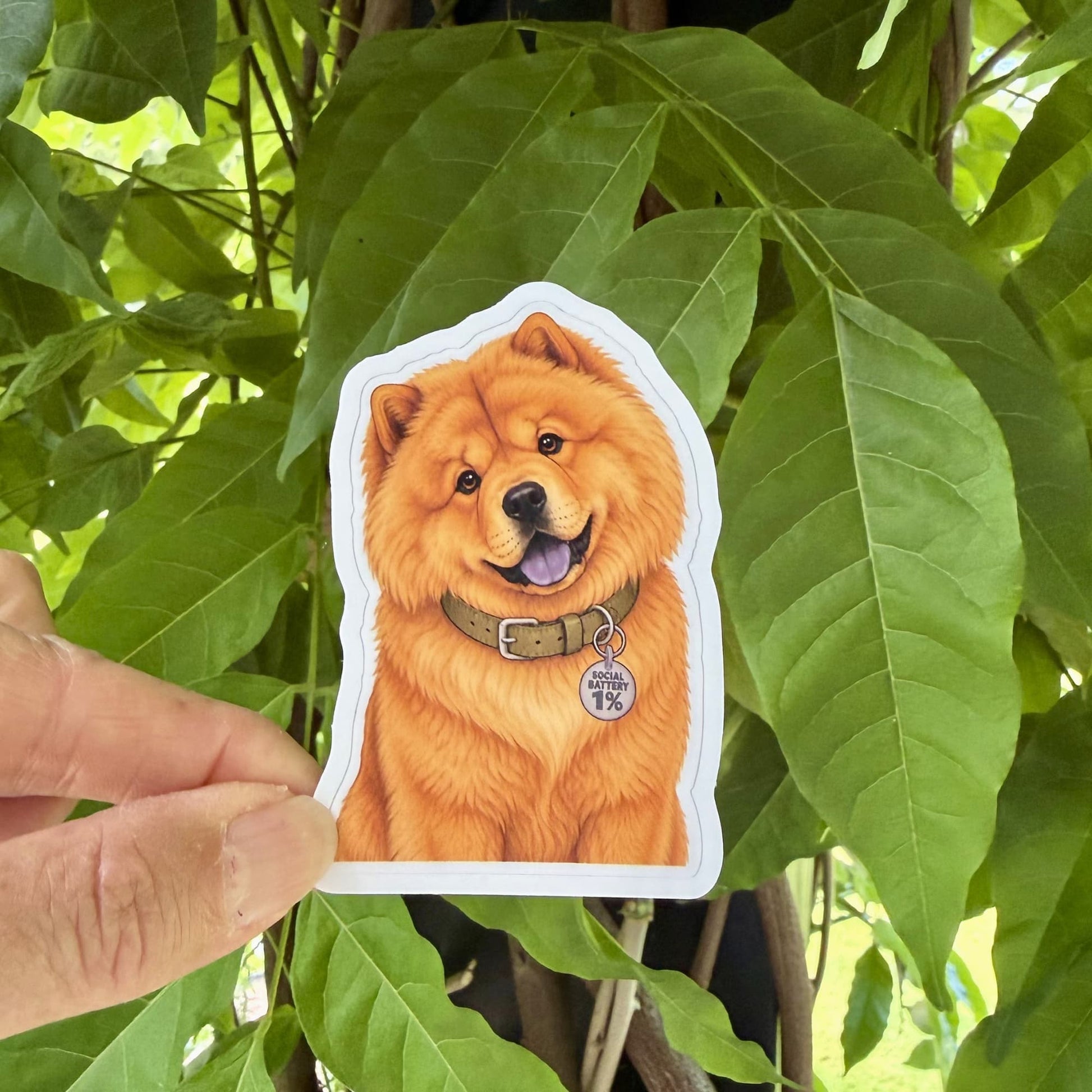Hand holding funny Chow Chow sticker outdoors against green leaves.