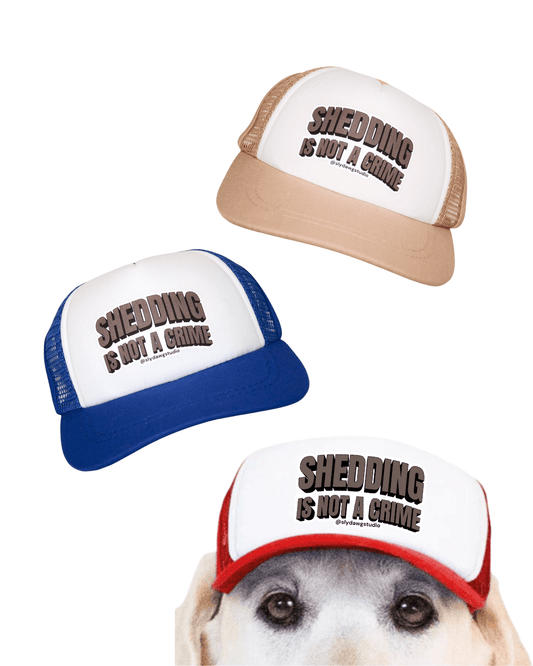 Funny dog hat with saying; tan, blue, and red Shedding is Not a Crime dog trucker hats shown together with a dog peeking up from below.