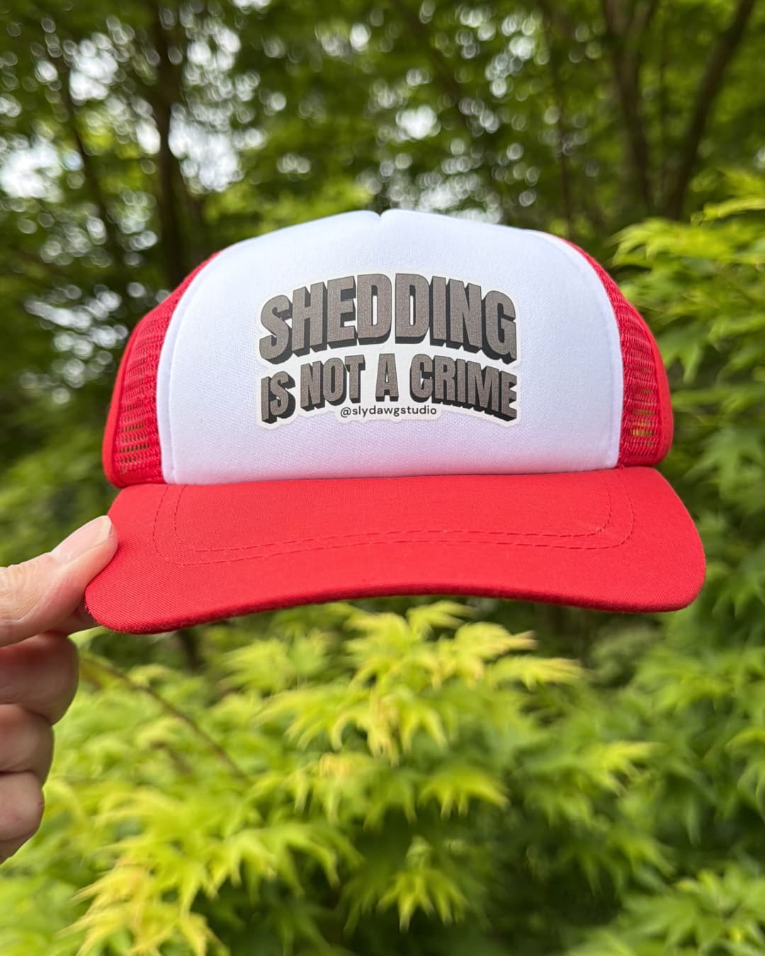 Funny dog hat with saying lifestyle; hand holding a red and white Shedding is Not a Crime dog trucker hat outdoors with green Japanese Maple leaves in the background.