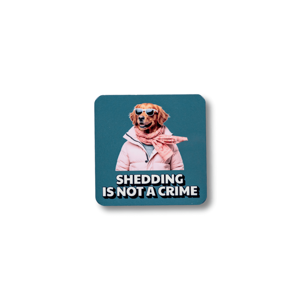 Square golden retriever magnet;  dog wearing pink jacket illustration and text 'Shedding is not a crime' on a white background