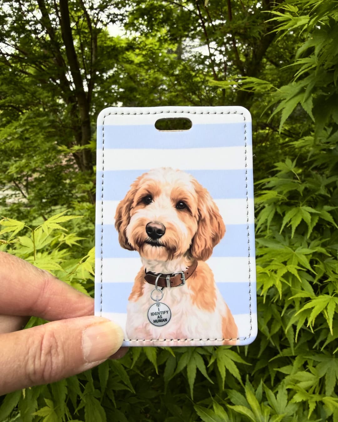 Funny Labradoodle luggage tag lifestyle; Hand holding a fun faux leather luggage tag featuring a fluffy wide-eyed Labradoodle with an Identify as Human collar charm, light blue and white stripes, green tree foliage background.