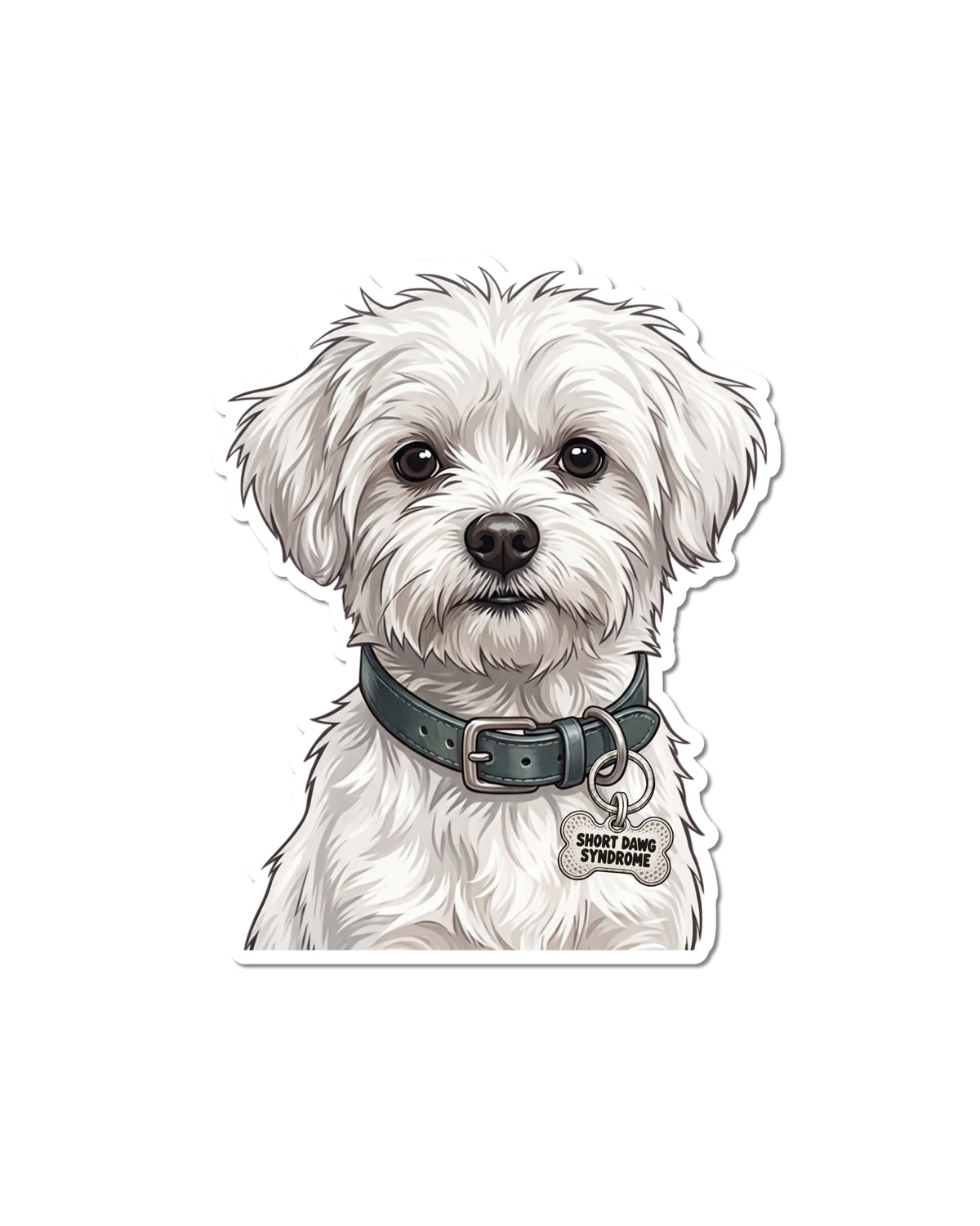 Funny Maltese Sticker featuring a fluffy white dog with gray shading, dark eyes and a black nose, wearing a deep teal collar and silver bone-shaped charm reading “SHORT DAWG SYNDROME,” on white.