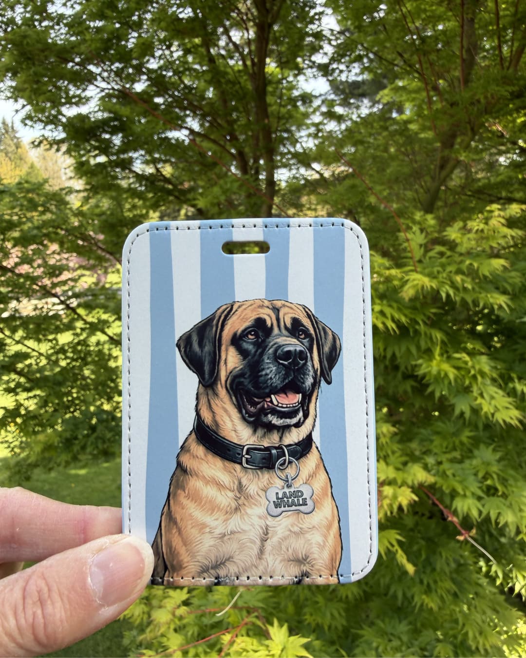 funny mastiff luggage tag handheld lifestyle shot showing English Mastiff with LAND WHALE bone collar tag on light blue and white vertical striped faux leather tag