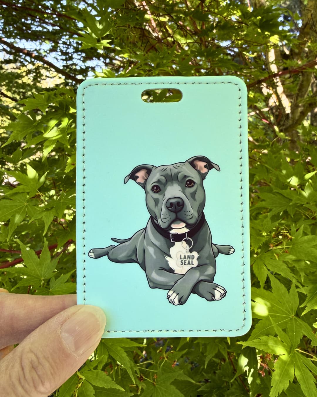 Funny pit bull luggage tag light blue lifestyle; Hand holding a fun faux leather luggage tag featuring a grey pit bull in sploot pose with Land Seal charm, solid light blue-green background, green tree foliage background.