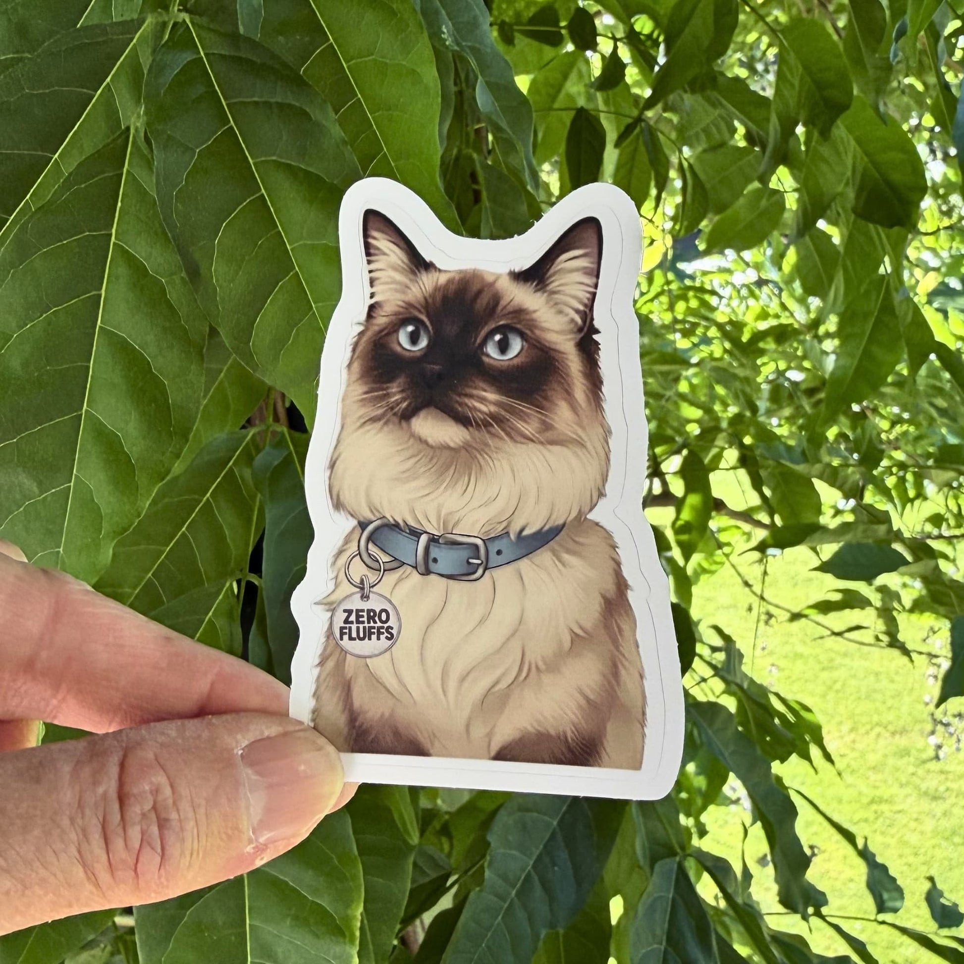 Funny ragdoll cat sticker held against green foliage, fluffy seal-point Ragdoll with blue eyes and Zero Fluffs charm, white contour border.