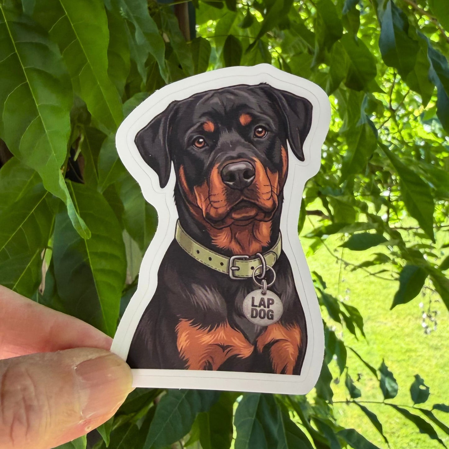 Funny Rottweiler sticker held in one hand against leafy green trees, showing the illustrated black-and-tan Rottweiler portrait and white kiss-cut border."