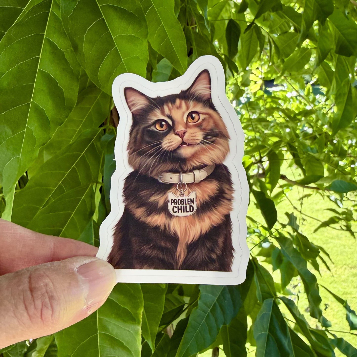 Funny tortie cat sticker held against green foliage, fluffy tortoiseshell cat with amber eyes and Problem Child charm, white contour border.
