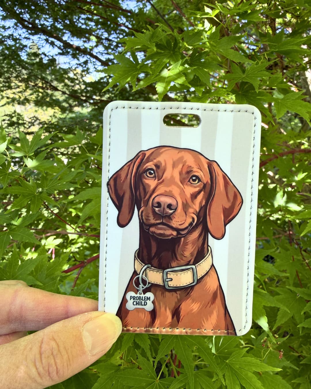 Funny Vizsla gift luggage tag lifestyle; Hand holding a faux leather luggage tag featuring a smug Vizsla with a Problem Child funny bone charm, tan and white stripes, green tree foliage background.