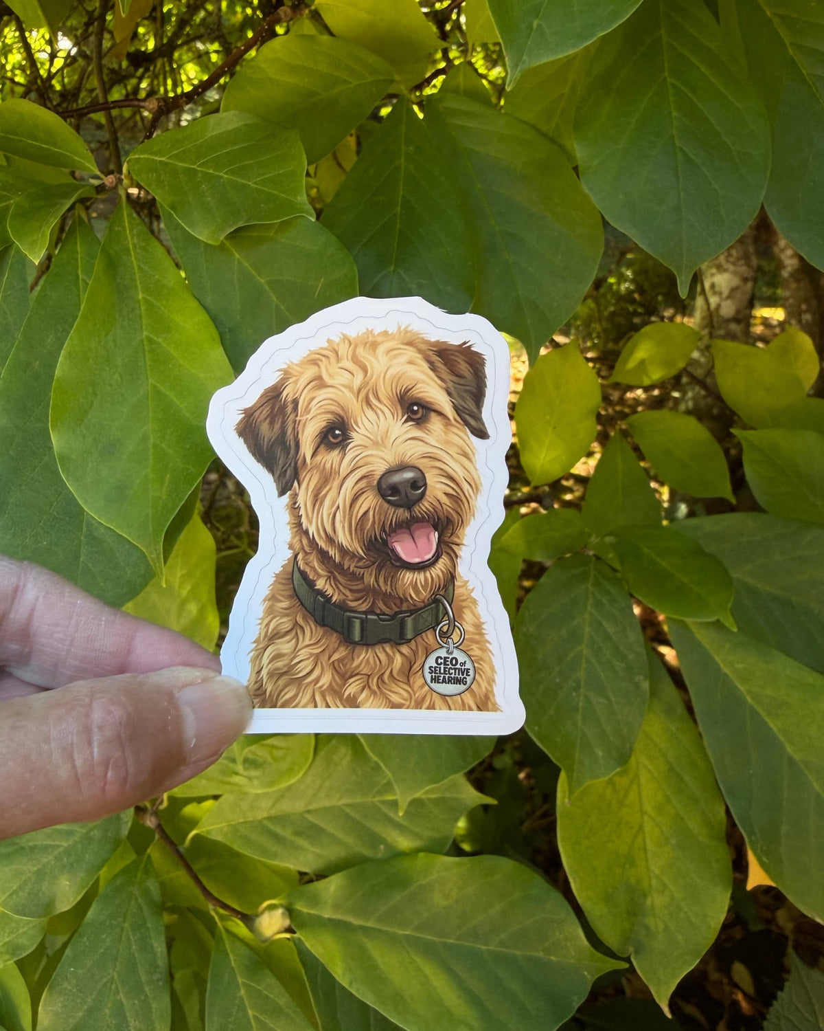  Funny Wheaten Terrier sticker featuring a golden tan dog with dark brown ears and an olive green collar, with a silver charm reading “CEO of SELECTIVE HEARING,” held between fingers against green leaves.