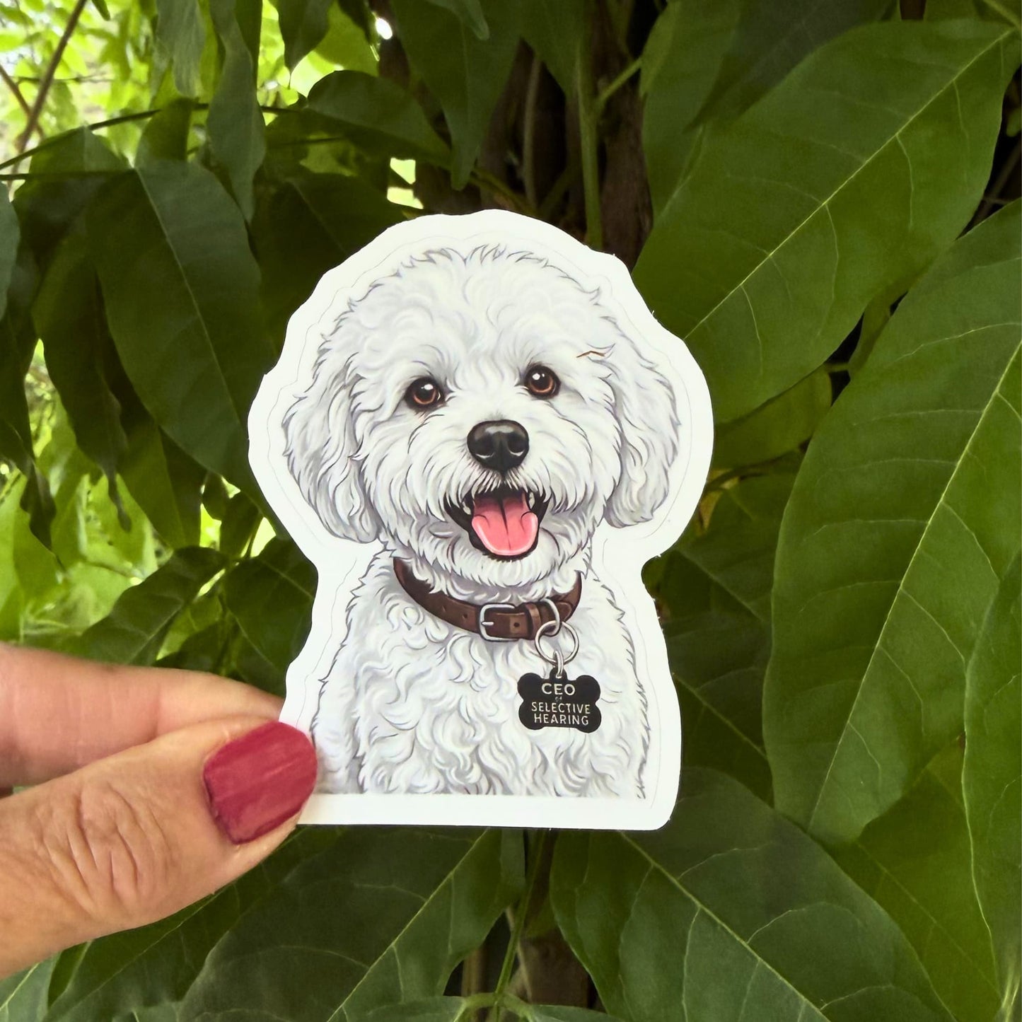 Funny white maltipoo dog sticker held outdoors against green leaves. White maltipoo with brown collar and "CEO OF SELECTIVE HEARING" charm.