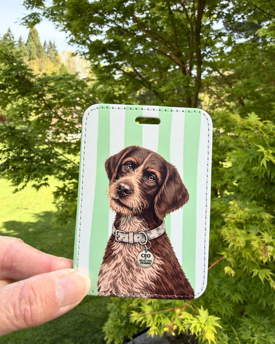 german wirehaired pointer luggage tag held outdoors against green trees showing soulful brown wirehaired pointer with bearded face and CEO of Selective Hearing collar tag on mint green striped faux leather tag