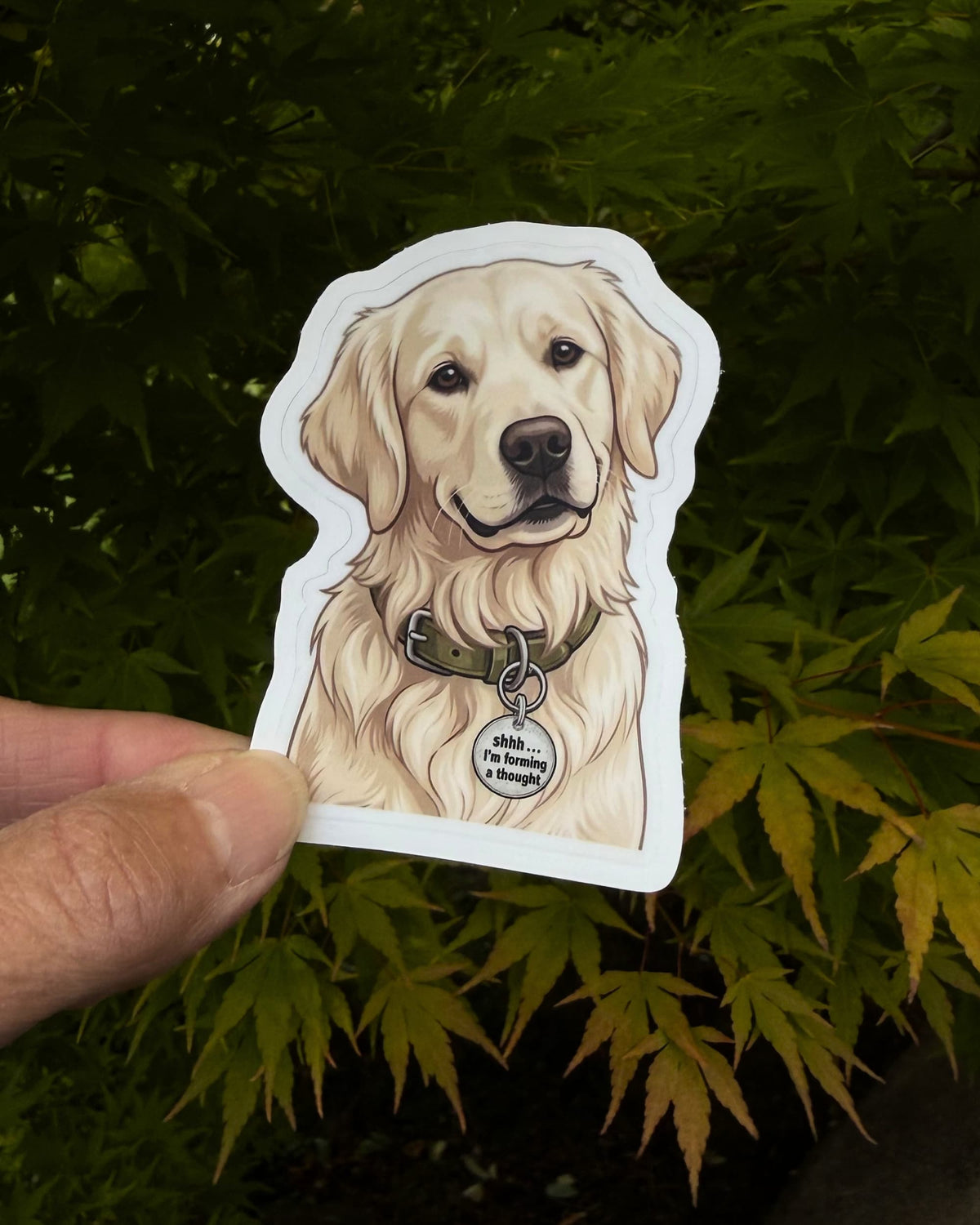 Golden retriever dog sticker held in a hand against green maple leaves, with its Shhh I'm forming a thought tag showing