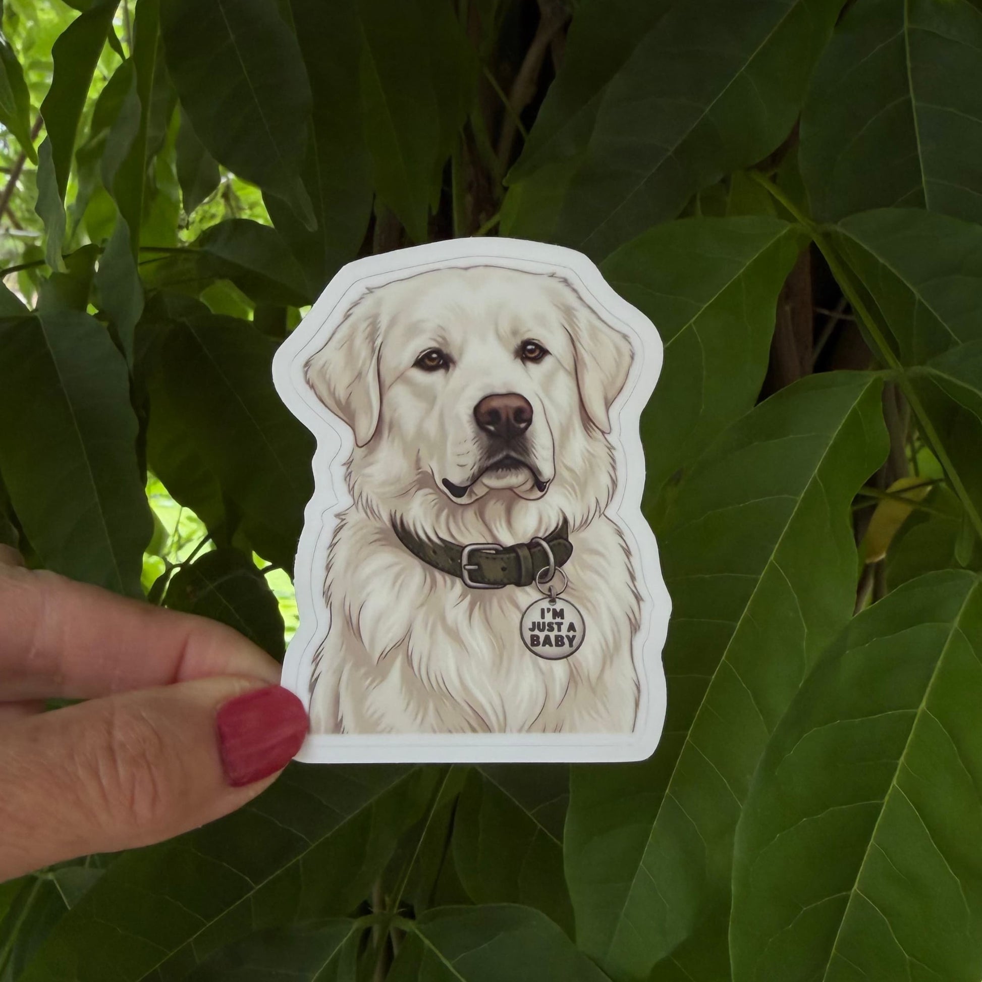 Great Pyrenees dog sticker held in one hand against leafy green trees, showing the illustrated fluffy white Pyr portrait and white kiss-cut border.