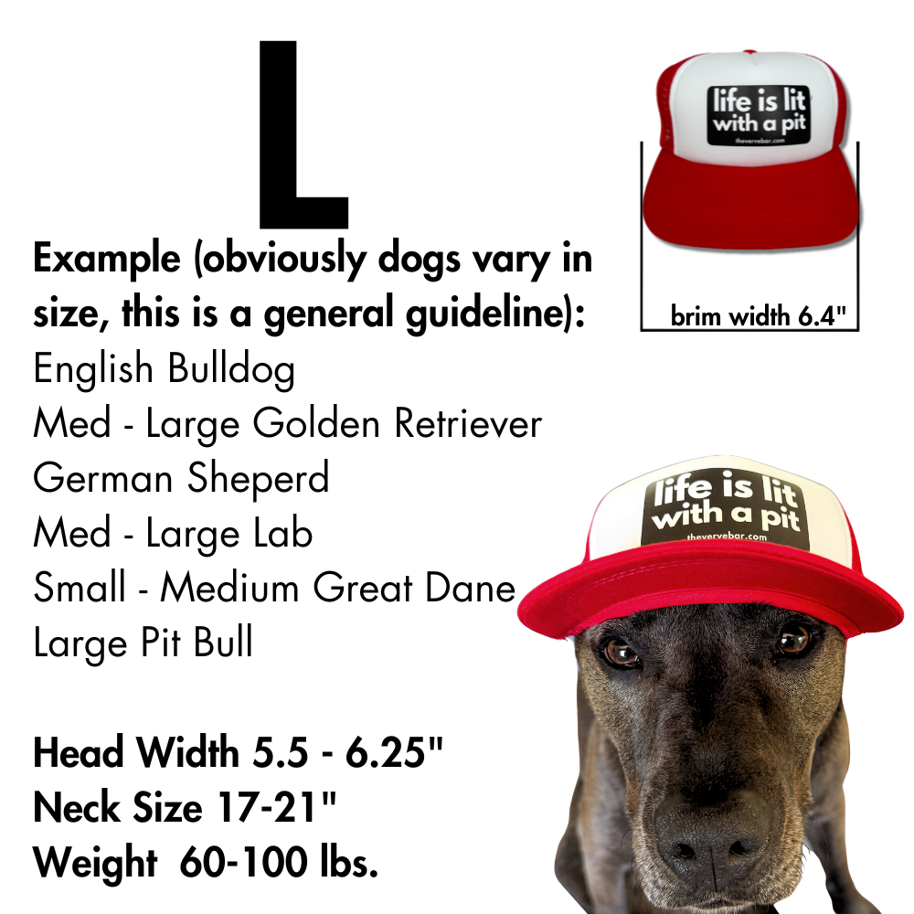 pit bull hat size chart for large dogs