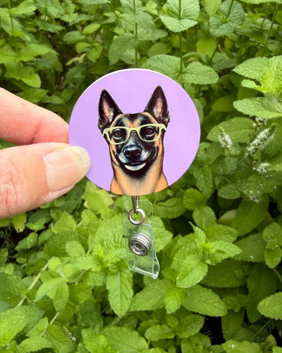 Hand holding interchangeable custom pet badge reel disc featuring Belgian Malinois with glasses on lavender background, shown outdoors
