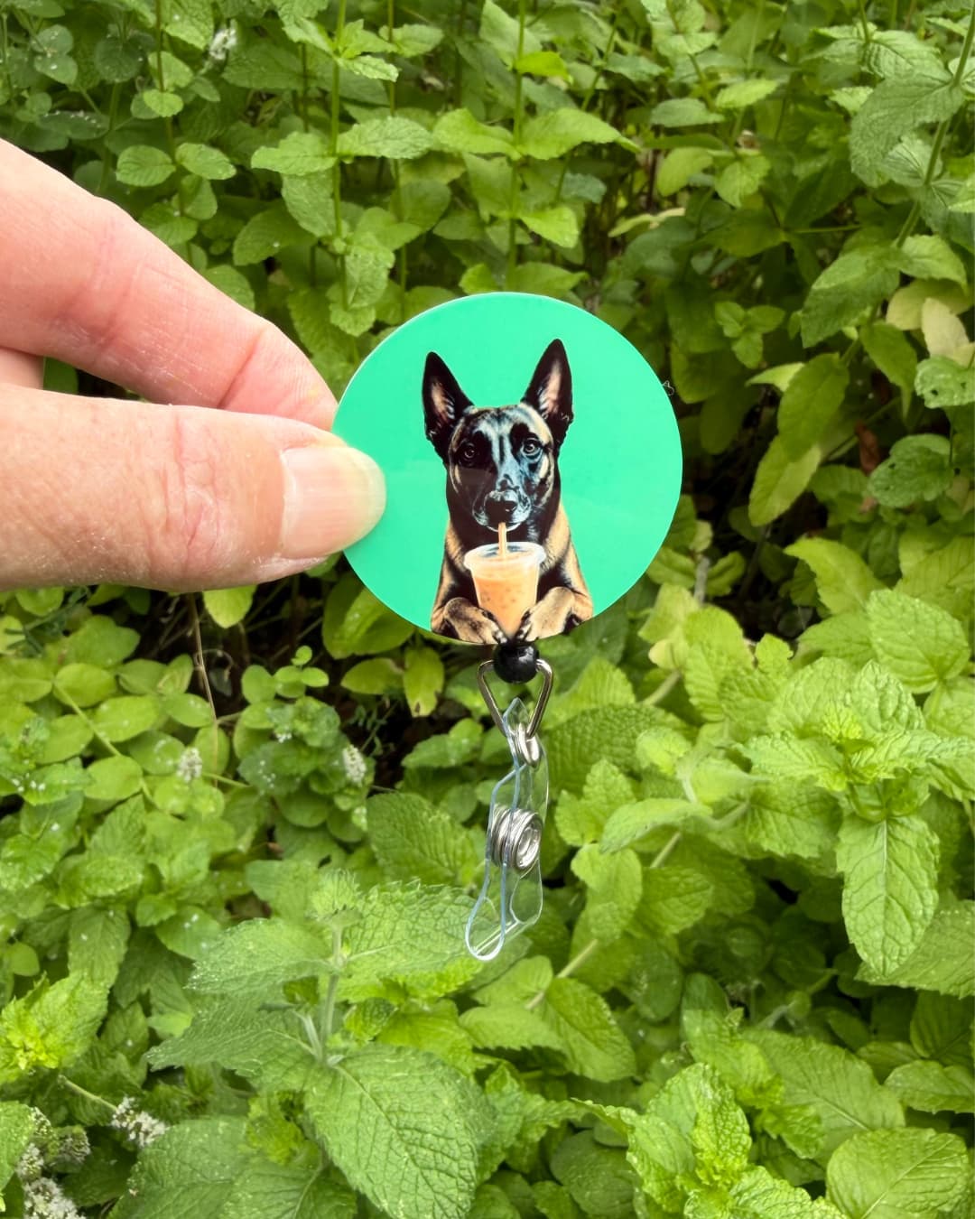 Hand holding interchangeable custom pet badge reel disc featuring Belgian Malinois with iced coffee on teal background, shown outdoors