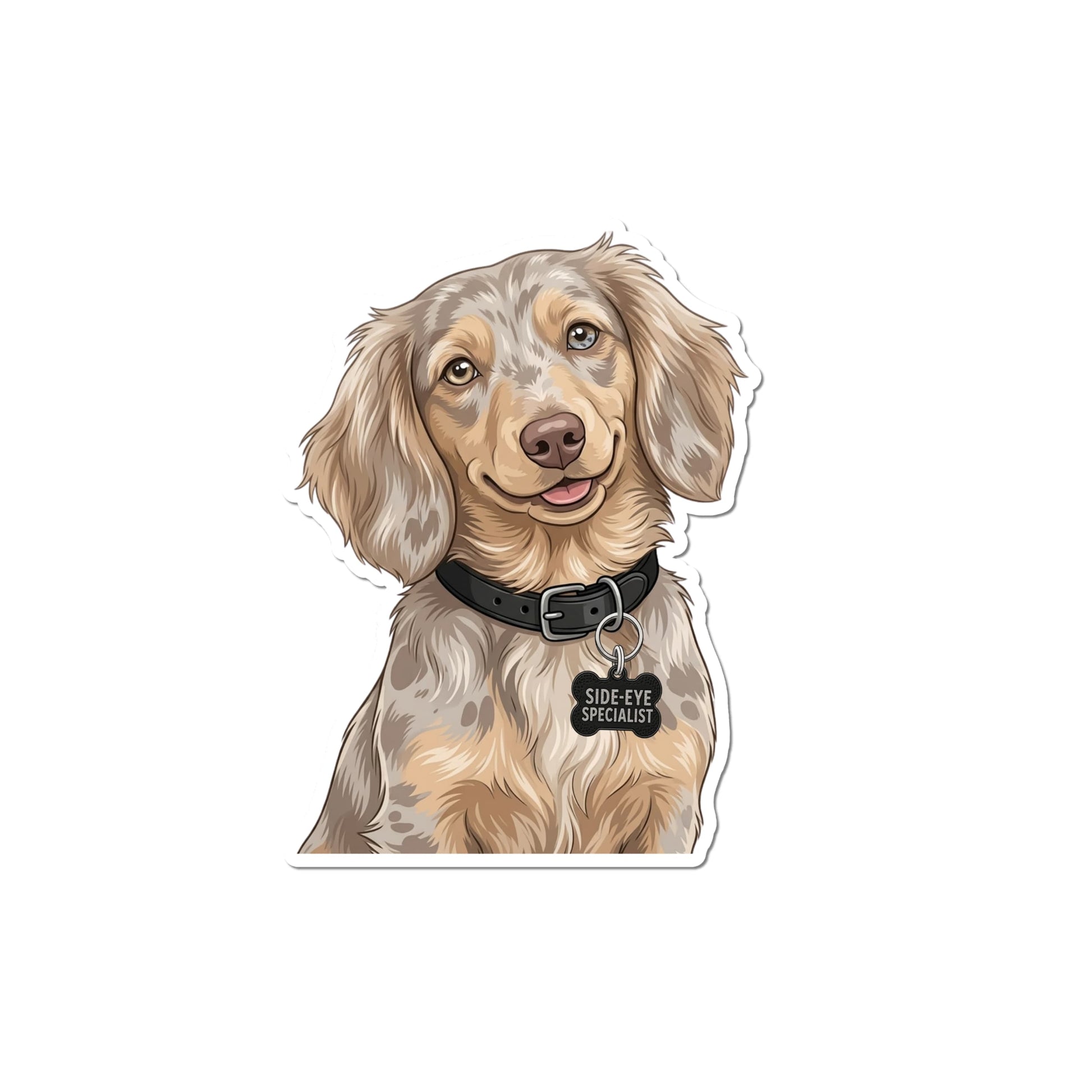 Isabella dapple Dachshund sticker showing an illustrated longhaired taupe-and-cream Doxie with mismatched eyes, a black collar, and SIDE-EYE SPECIALIST charm.