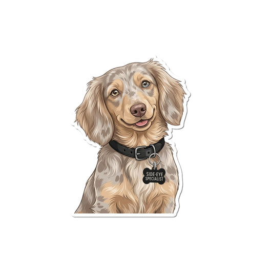 Isabella dapple Dachshund sticker showing an illustrated longhaired taupe-and-cream Doxie with mismatched eyes, a black collar, and SIDE-EYE SPECIALIST charm.