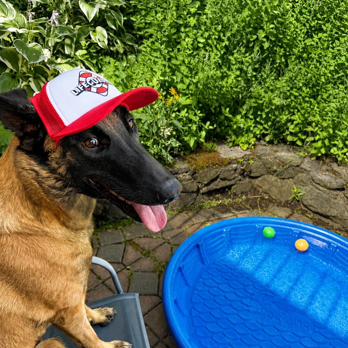 Lifeguard Trucker Hat for Dogs