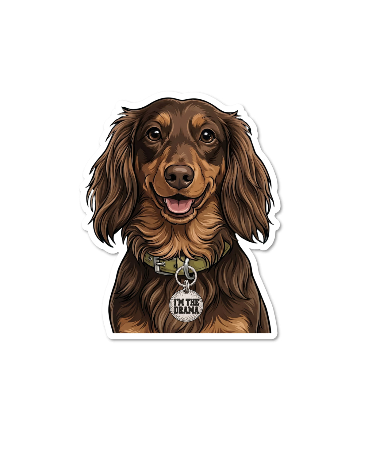 Long haired chocolate and tan dachshund sticker: smiling doxie with long ears, green collar, and round tag reading I'm the Drama