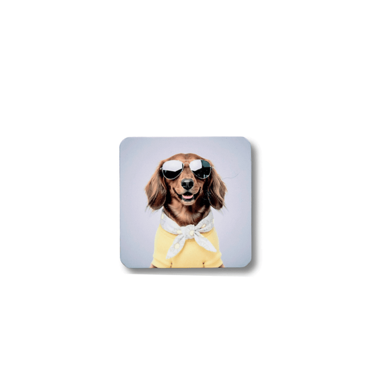 Close-up of a long-haired dachshund refrigerator magnet featuring a brown dog wearing aviator sunglasses, a yellow sweater, and a white bandana against a light gray background.