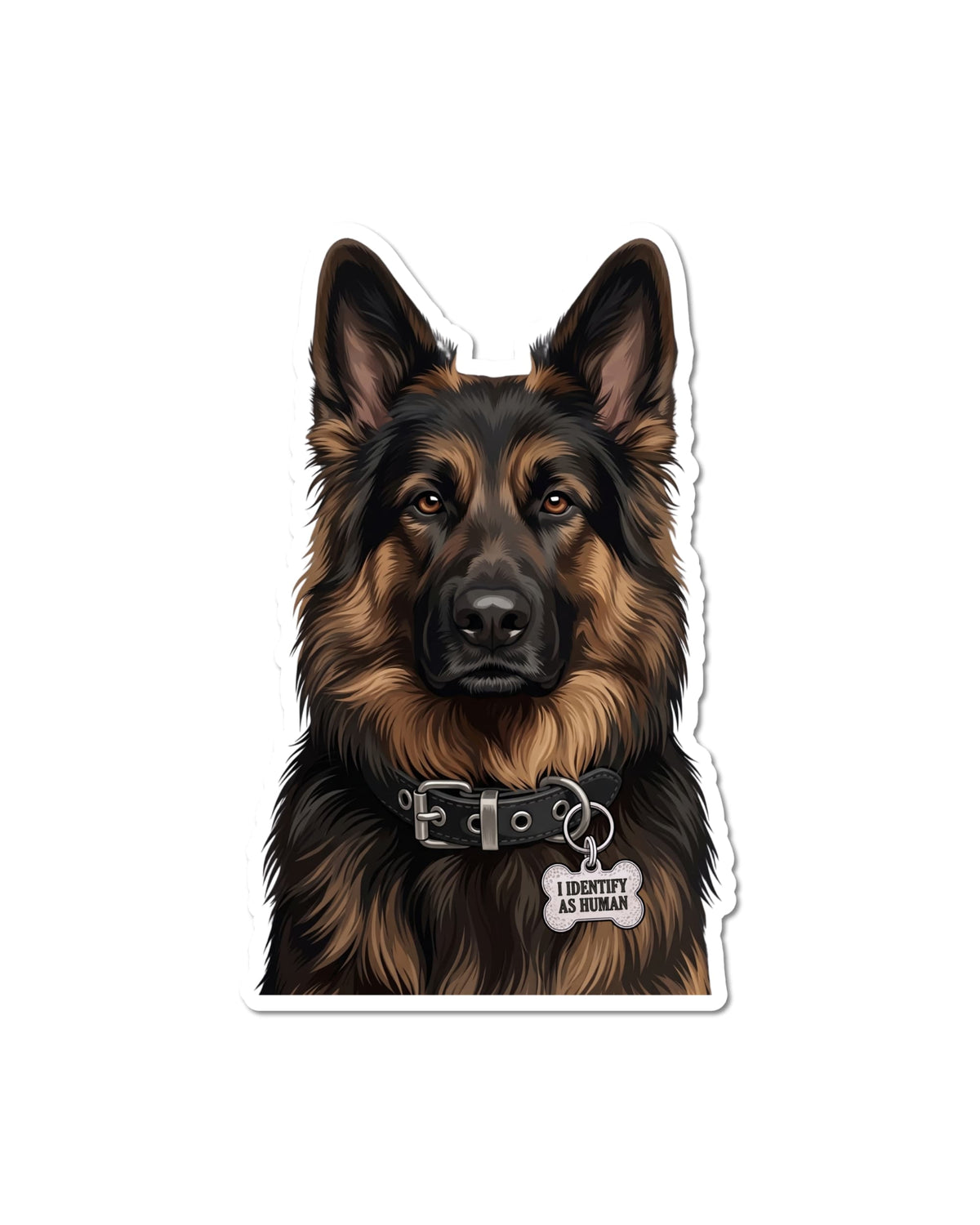 Long Haired German Shepherd sticker featuring a black and tan dog with upright ears and brown eyes, wearing a black collar with silver hardware and a silver bone-shaped charm reading “I IDENTIFY AS HUMAN,” on white.