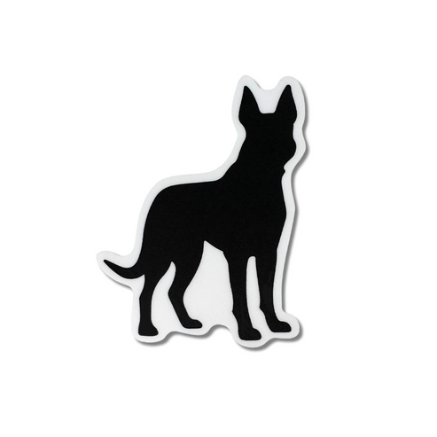 Belgian Malinois 