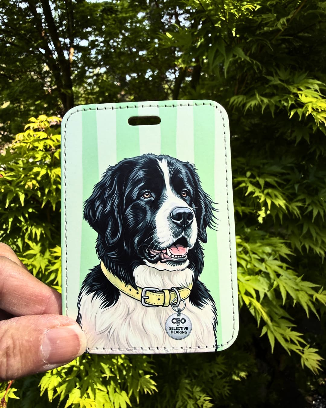 Newfoundland luggage tag lifestyle; Hand holding a fun faux leather luggage tag featuring a black and white Newfoundland with a yellow collar and CEO of Selective Hearing charm, vertical mint green and pale lime stripes, green tree foliage background.